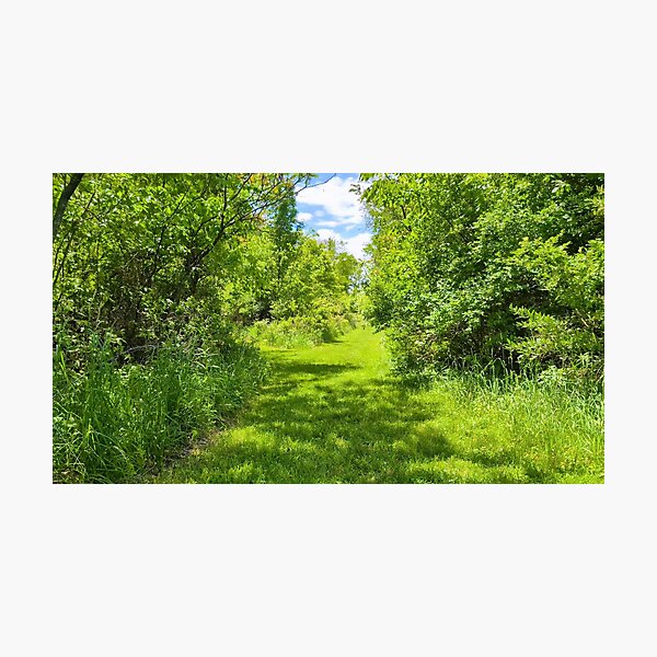 Item preview, The Green Path Ahead II designed and sold by Jkund19.