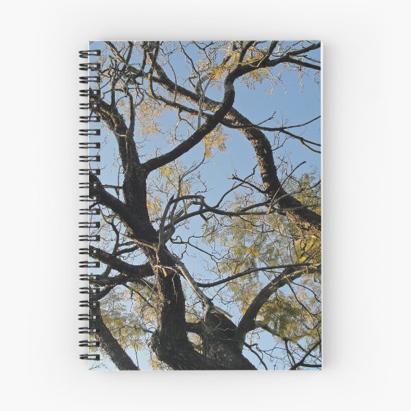 Item preview, Tree branches designed and sold by STHogan.