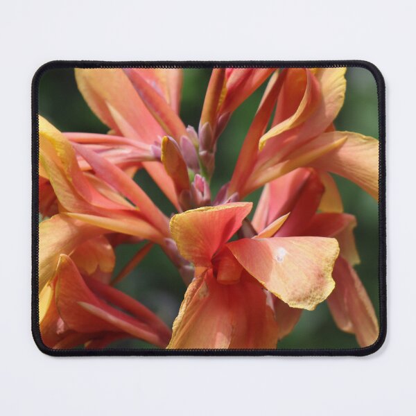 Item preview, Canna Lily Heart designed and sold by SpiritOfTheLand.