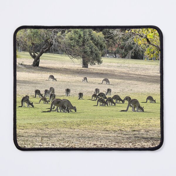 Item preview, A Fairway Feeding Frenzy  designed and sold by Larry Davis.