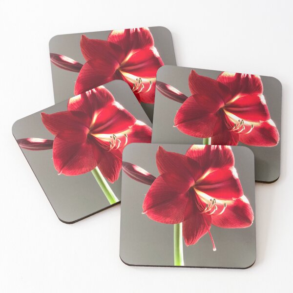 Item preview, Amaryllis designed and sold by Unconditional Art.