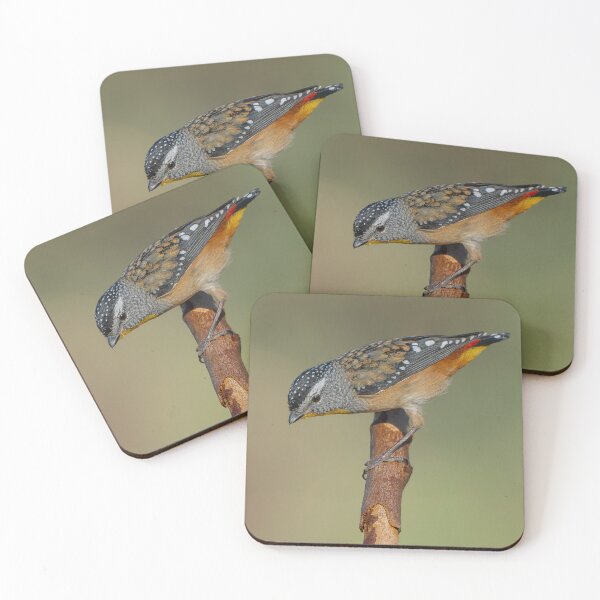 Item preview, Male Spotted Pardalote designed and sold by Nick Vertsonis.