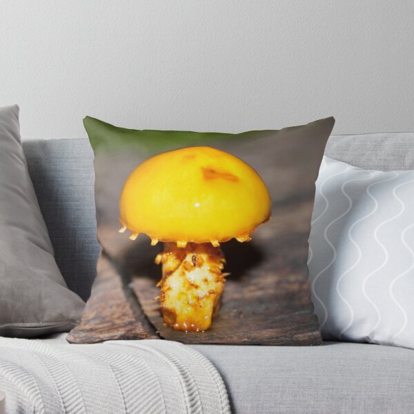 Item preview, WAM Series - 79 designed and sold by DigitallyStill.