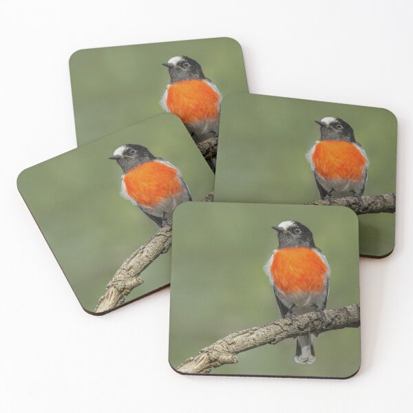 Item preview, Male Scarlet Robin designed and sold by Nick Vertsonis.