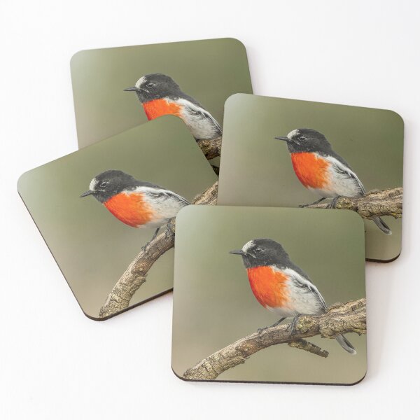 Item preview, Male Scarlet Robin designed and sold by Nick Vertsonis.