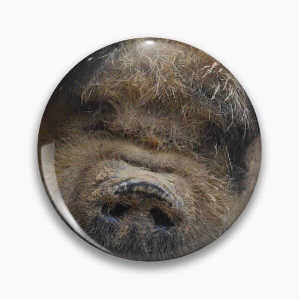 Item preview, Up close and personal with a pig  designed and sold by OzzyluArt.