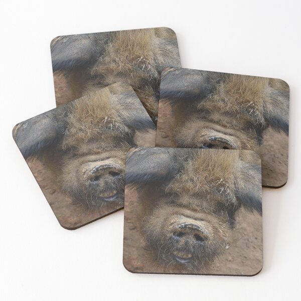 Item preview, Up close and personal with a pig  designed and sold by OzzyluArt.