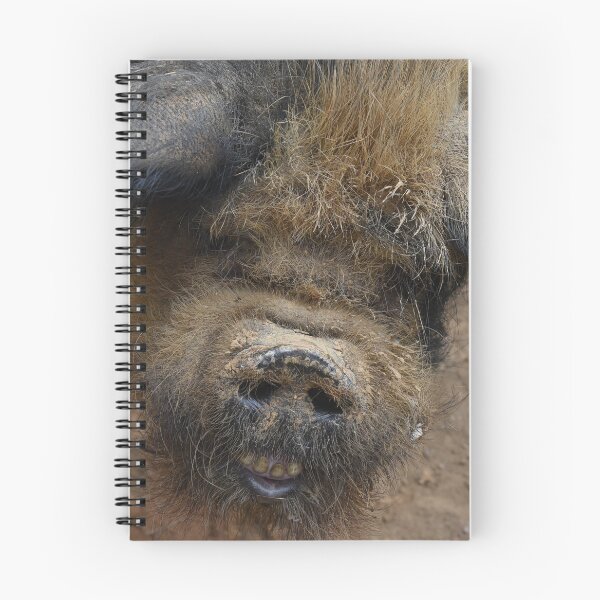 Item preview, Up close and personal with a pig  designed and sold by OzzyluArt.