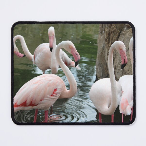 Item preview, Pink Flamingo catch up designed and sold by smh2.
