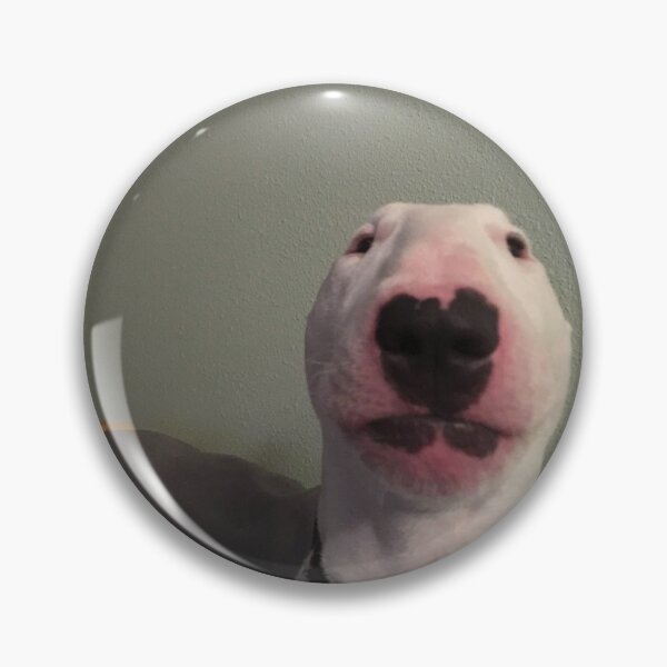 Item preview, bull terrier staring meme designed and sold by StickerKeira.