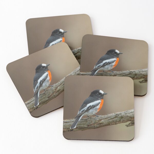 Item preview, Male Scarlet Robin designed and sold by Nick Vertsonis.