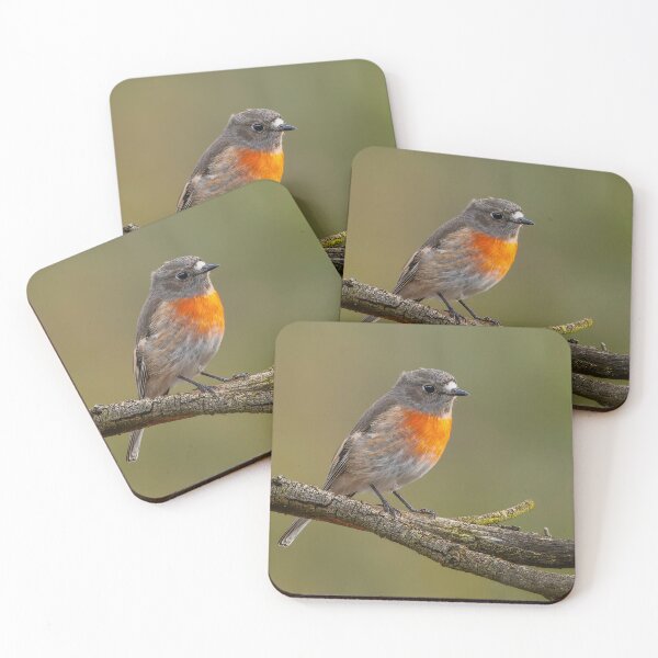 Item preview, Female Scarlet Robin designed and sold by Nick Vertsonis.