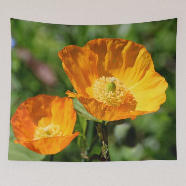 Item preview, California Poppy designed and sold by AnnDixon.