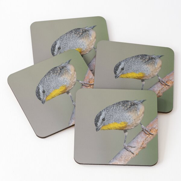 Item preview, Male Spotted Pardalote designed and sold by Nick Vertsonis.