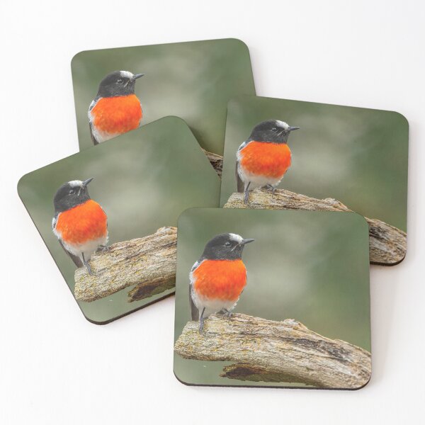 Item preview, Male Scarlet Robin designed and sold by Nick Vertsonis.