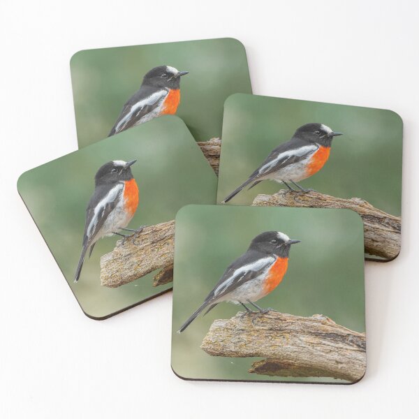 Item preview, Male Scarlet Robin designed and sold by Nick Vertsonis.