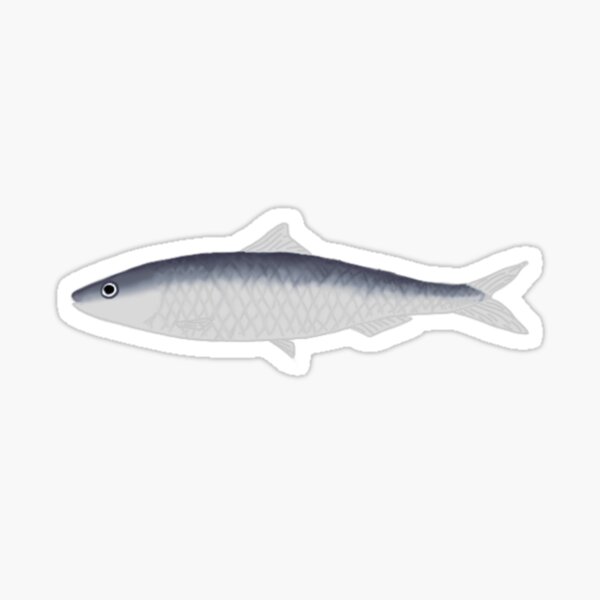 Item preview, Sardine  designed and sold by Nadyastinyshop8.