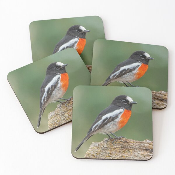 Item preview, Male Scarlet Robin designed and sold by Nick Vertsonis.