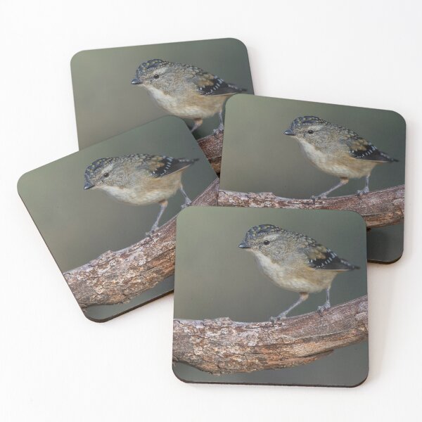 Item preview, Female Spotted Pardalote designed and sold by Nick Vertsonis.
