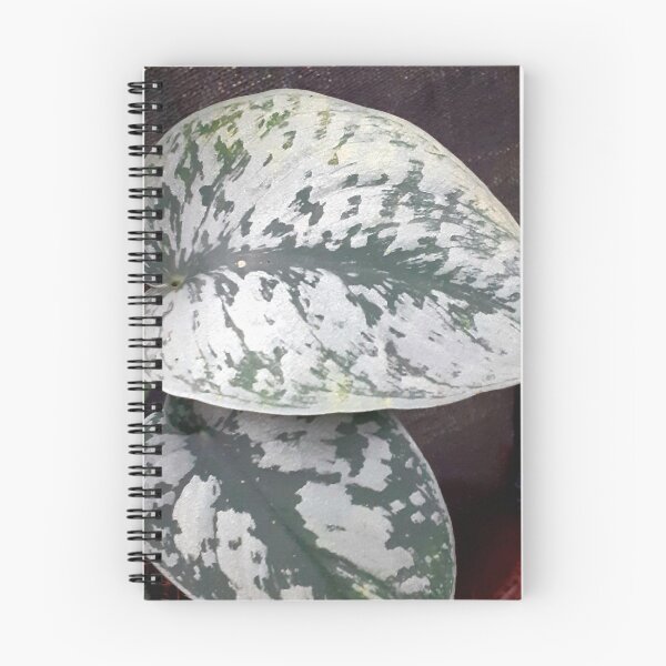 Item preview, Silver lining designed and sold by RosJoy.