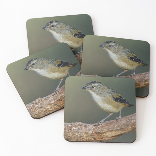 Item preview, Female Spotted Pardalote designed and sold by Nick Vertsonis.