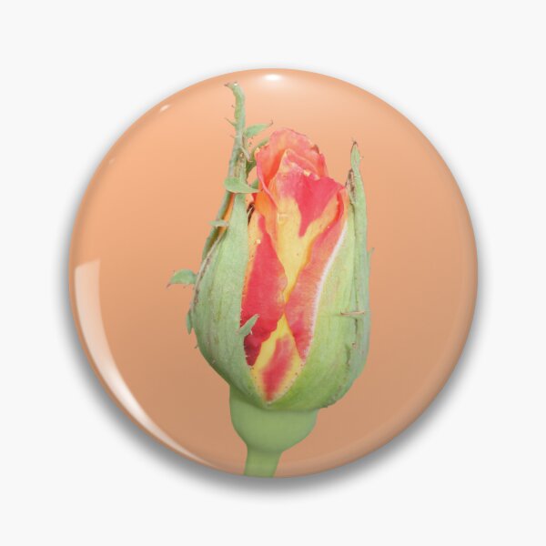 Item preview, Orange rose bud designed and sold by STHogan.