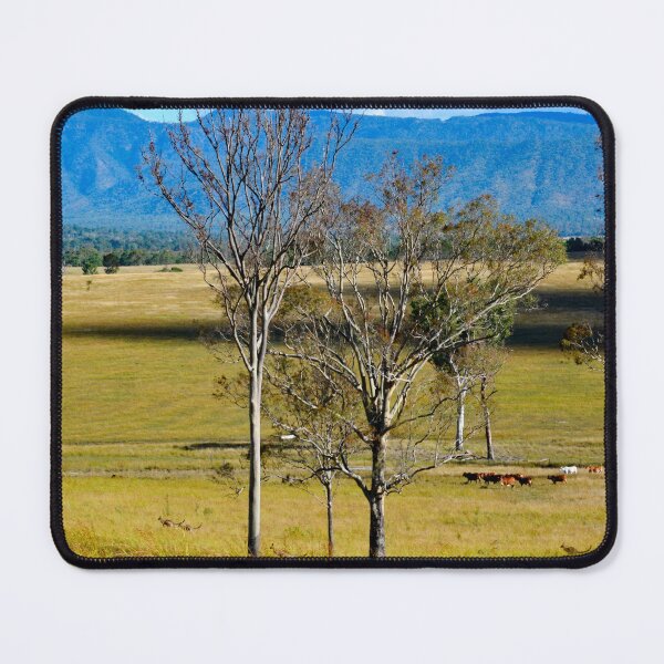 Item preview, CATTLE STATION LANDSCAPES, KANGAROOS designed and sold by Barbara Jean Photo Art And Design.