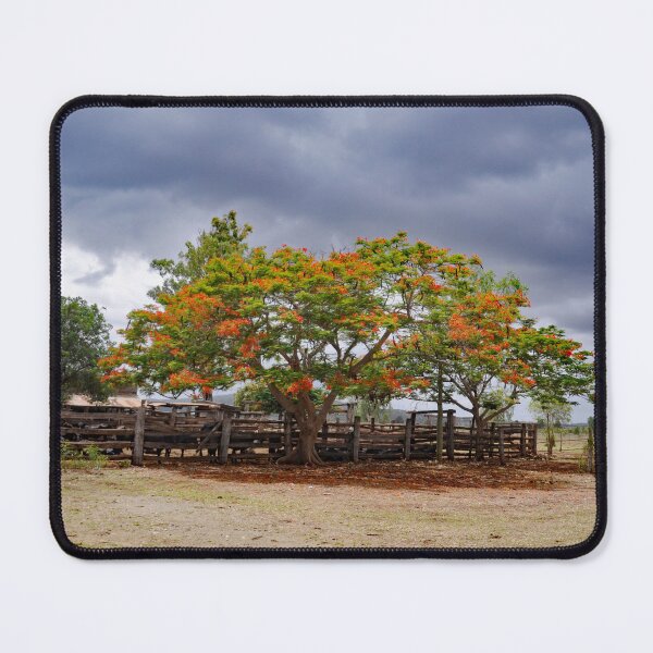 Item preview, SCENIC LANDSCAPE PHOTOGRAPHY designed and sold by Barbara Jean Photo Art And Design.