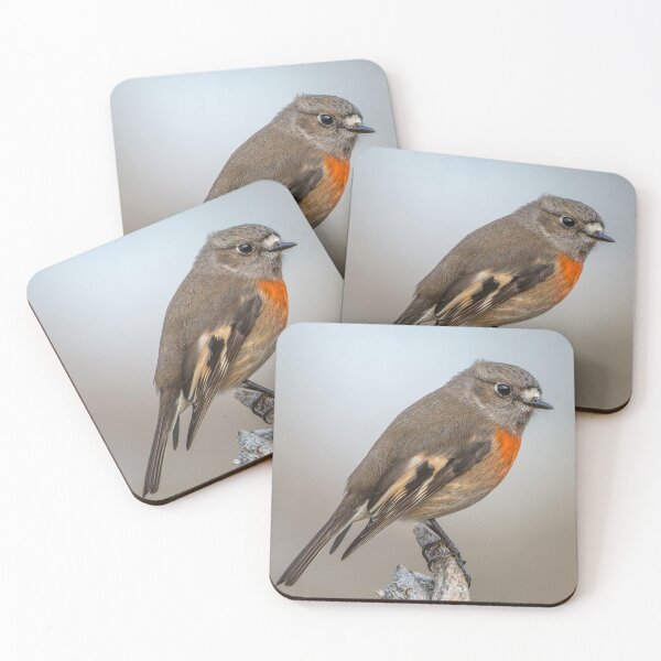 Item preview, Female Scarlet Robin designed and sold by Nick Vertsonis.