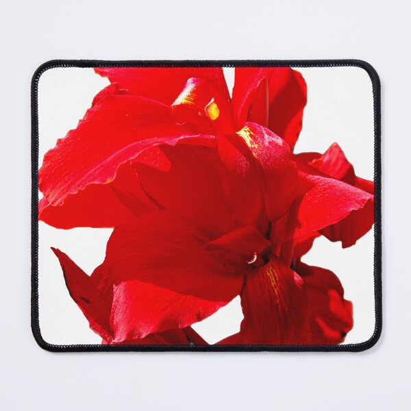 Item preview, Red flower designed and sold by Kerry LeBoutillier.