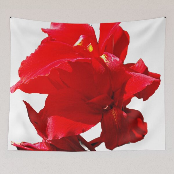 Item preview, Red flower designed and sold by Kerry LeBoutillier.