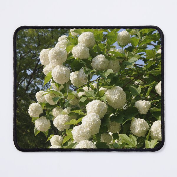 Item preview, photonuri photography works 2024P008 designed and sold by photonuri.