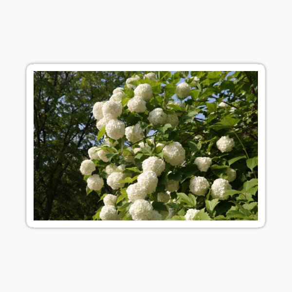 Item preview, photonuri photography works 2024P008 designed and sold by photonuri.