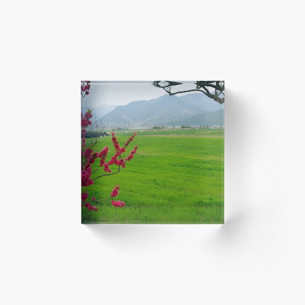 Item preview, photonuri photography works 2024P009 designed and sold by photonuri.