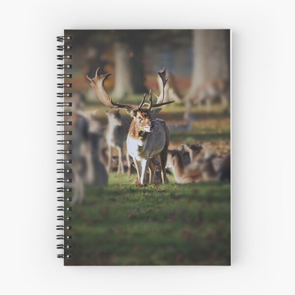 Item preview, the hart of Wychwood designed and sold by Murph's Images.