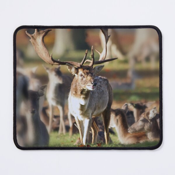 Item preview, the hart of Wychwood designed and sold by Murph's Images.