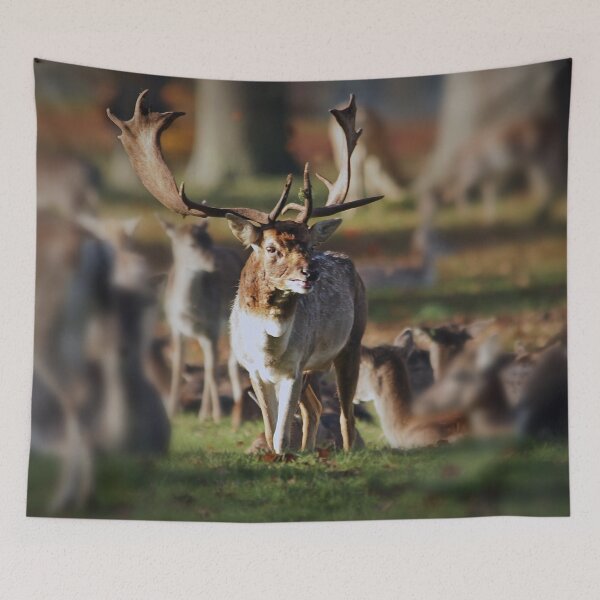 Item preview, the hart of Wychwood designed and sold by Murph's Images.