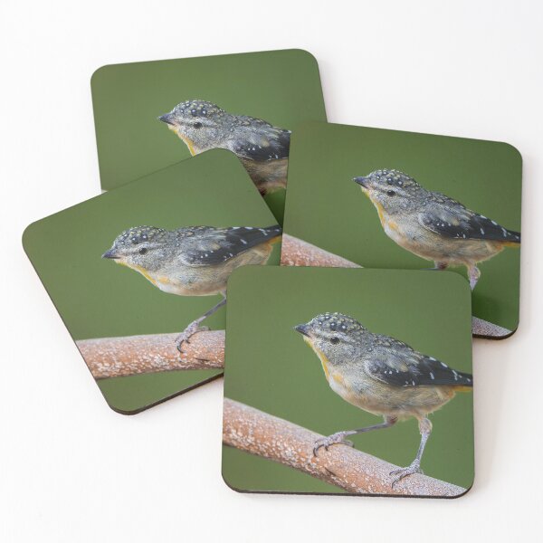 Item preview, Spotted Pardalote designed and sold by Nick Vertsonis.