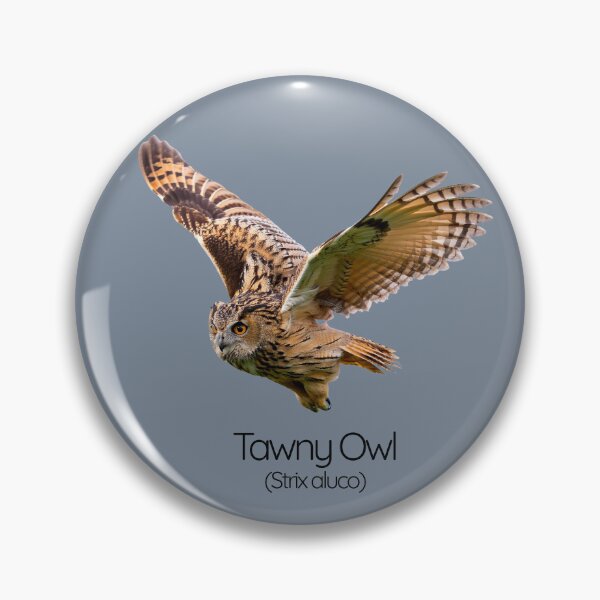 Item preview, Tawny Owl – The Woodland Whisperer designed and sold by The Digital Compass.