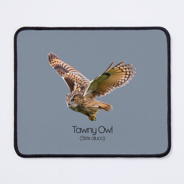 Item preview, Tawny Owl – The Woodland Whisperer designed and sold by The Digital Compass.