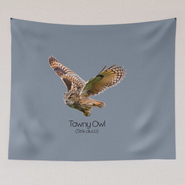 Item preview, Tawny Owl – The Woodland Whisperer designed and sold by The Digital Compass.