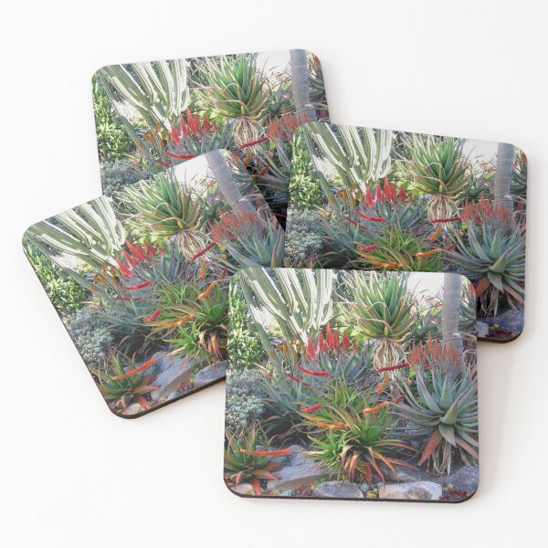 Item preview, Hello Aloe designed and sold by RosJoy.