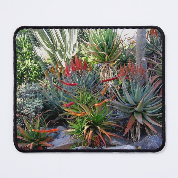 Item preview, Hello Aloe designed and sold by RosJoy.