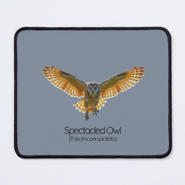 Item preview, Spectacled Owl – The Enigmatic Guardian of the Tropics designed and sold by The Digital Compass.