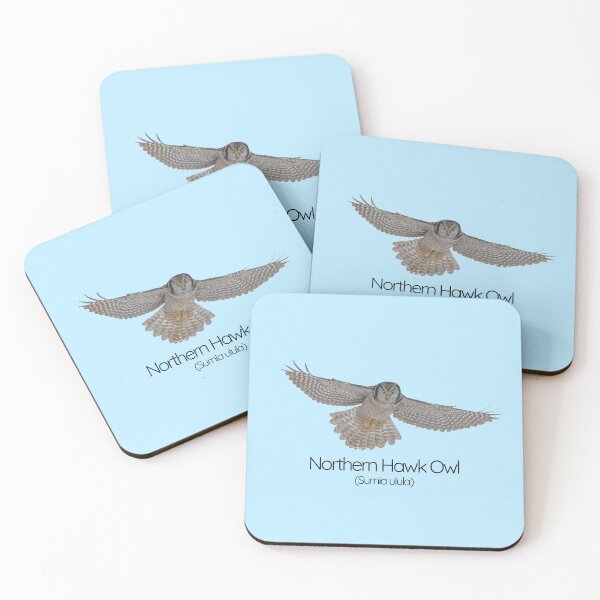 Item preview, Northern Hawk Owl – The Daytime Hunter of the Arctic designed and sold by The Digital Compass.