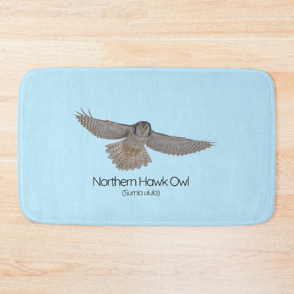 Item preview, Northern Hawk Owl – The Daytime Hunter of the Arctic designed and sold by The Digital Compass.