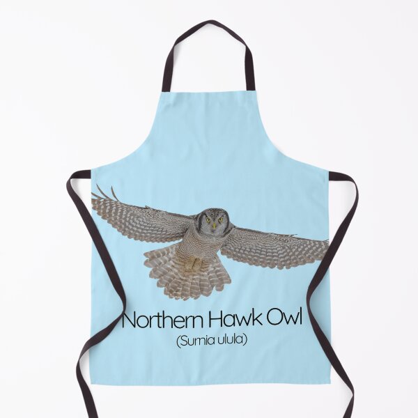 Item preview, Northern Hawk Owl – The Daytime Hunter of the Arctic designed and sold by The Digital Compass.