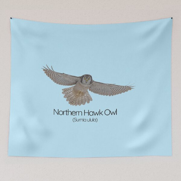 Item preview, Northern Hawk Owl – The Daytime Hunter of the Arctic designed and sold by The Digital Compass.