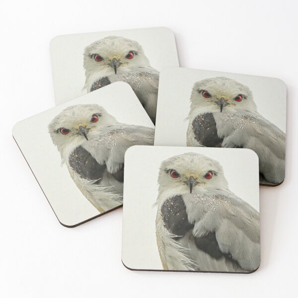 Item preview, Black Shouldered Kite designed and sold by Nick Vertsonis.