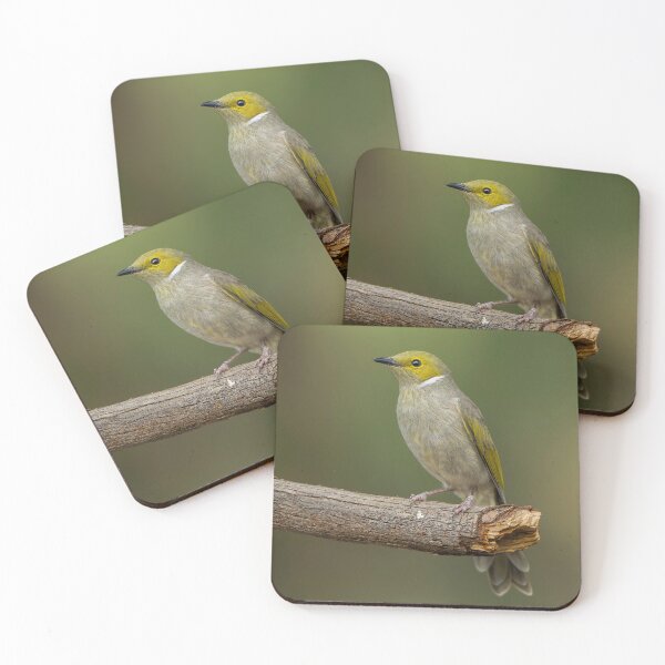 Item preview, White Plumed Honeyeater designed and sold by Nick Vertsonis.
